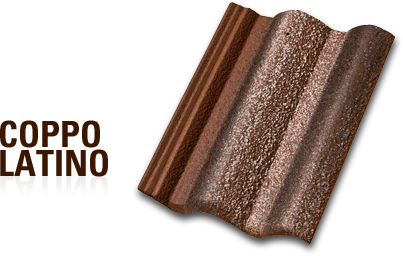coppo latino